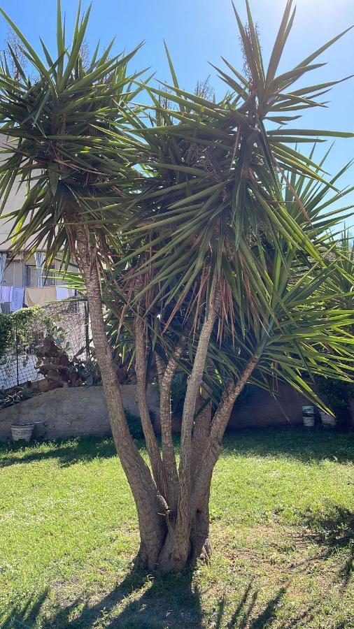 Campofelice Casa Vacanza 팔레르모 외부 사진