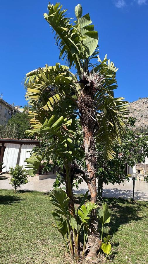 Campofelice Casa Vacanza 팔레르모 외부 사진